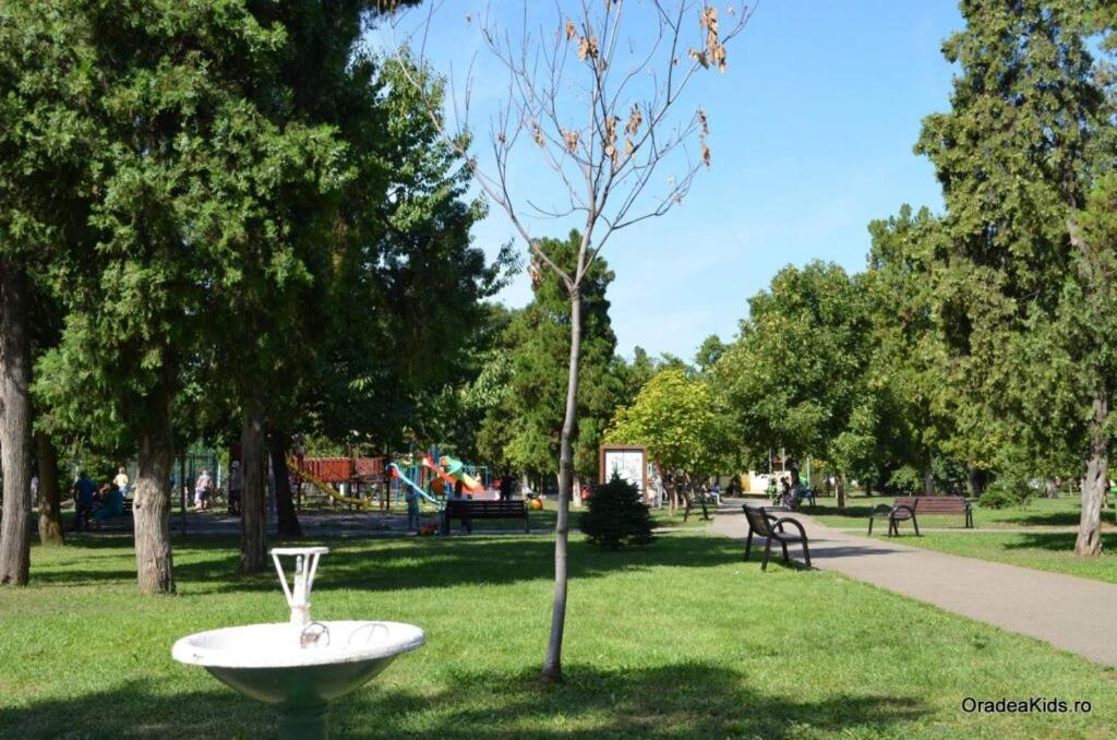 Regy Apartment Oradea Bagian luar foto