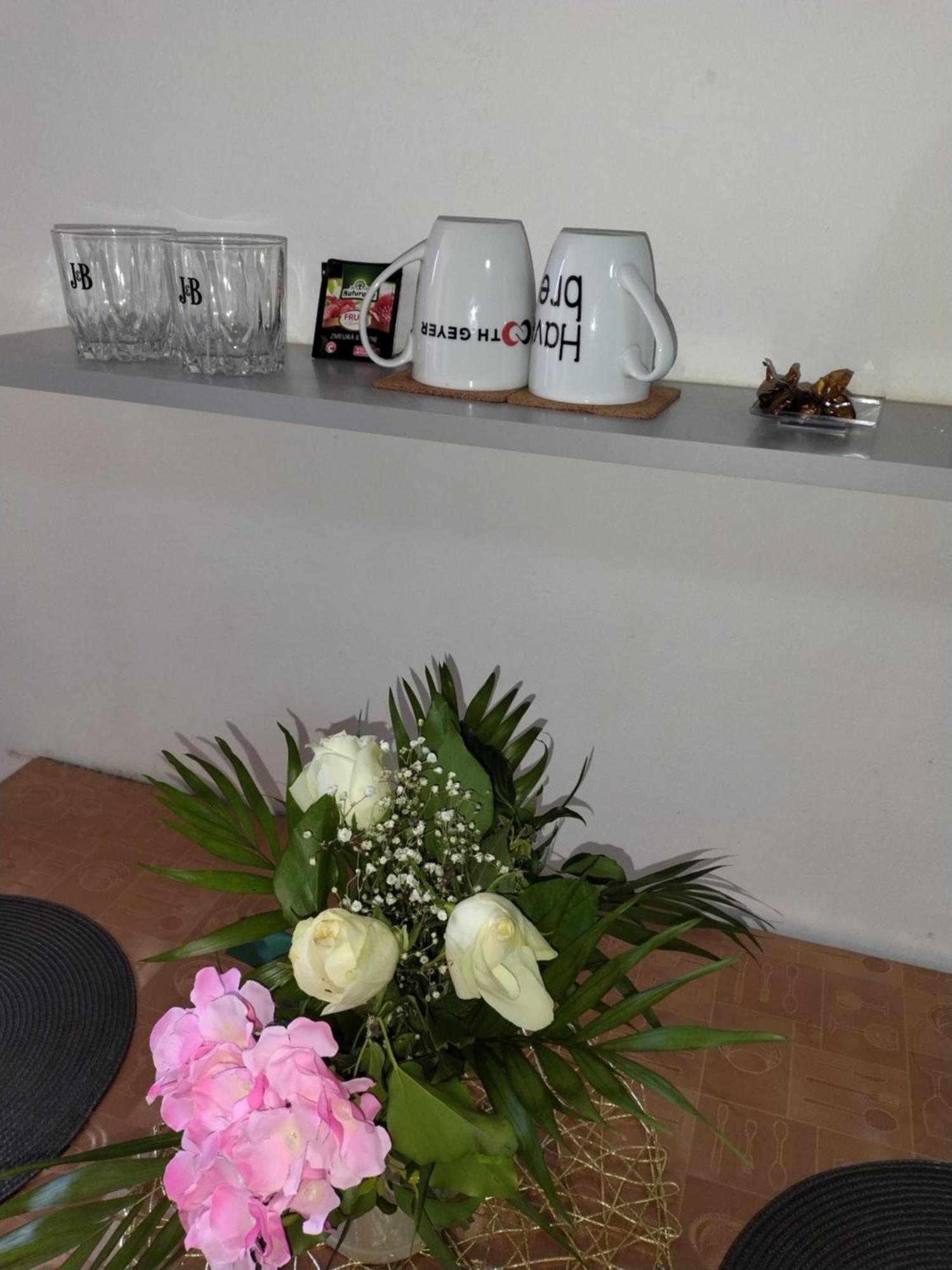 Regy Apartment Oradea Bagian luar foto
